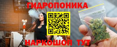 индика Дубна