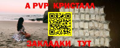 индика Дубна