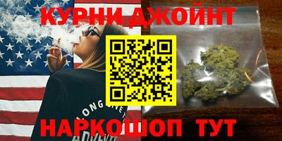 индика Дубна