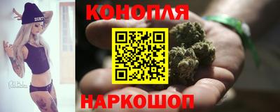 индика Дубна