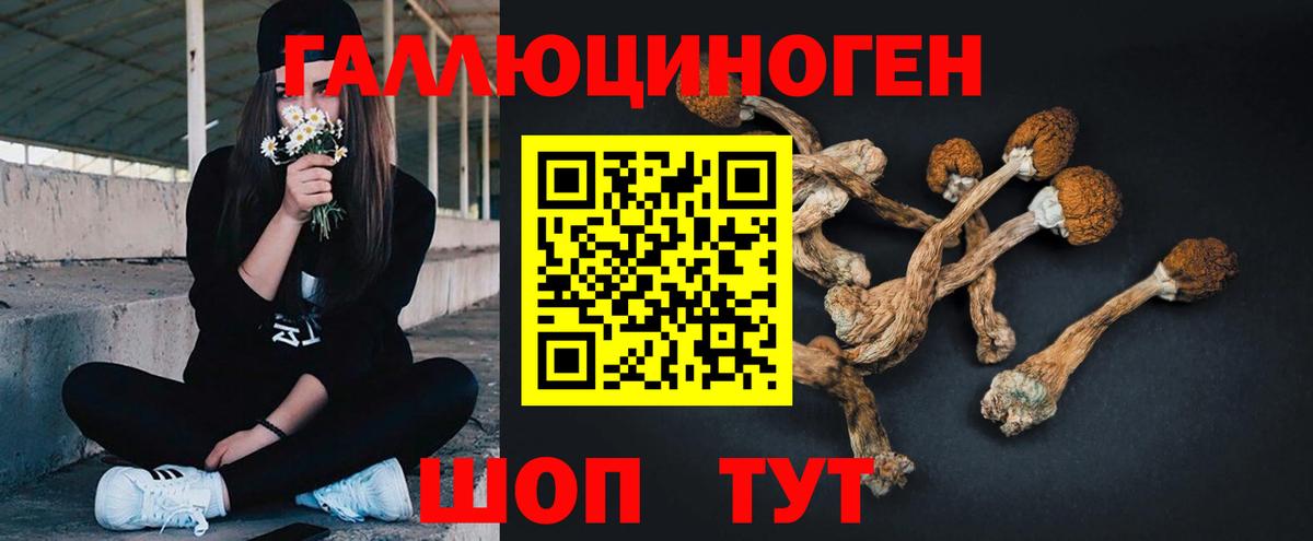 Псилоцибиновые грибы MAGIC MUSHROOMS Печора