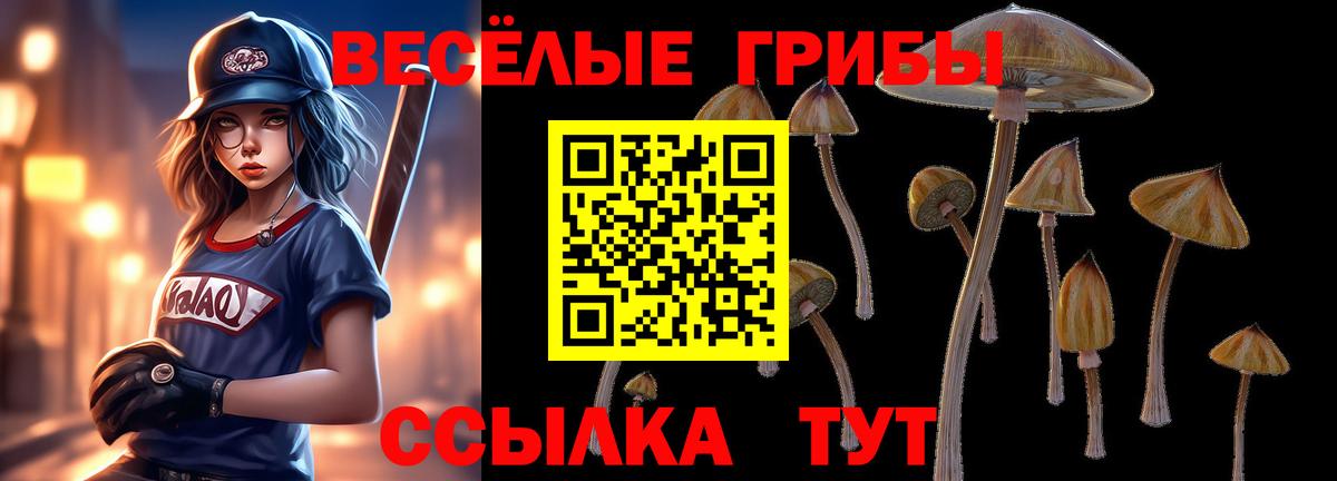 Печора  Псилоцибиновые грибы мицелий  Вход с VPN 